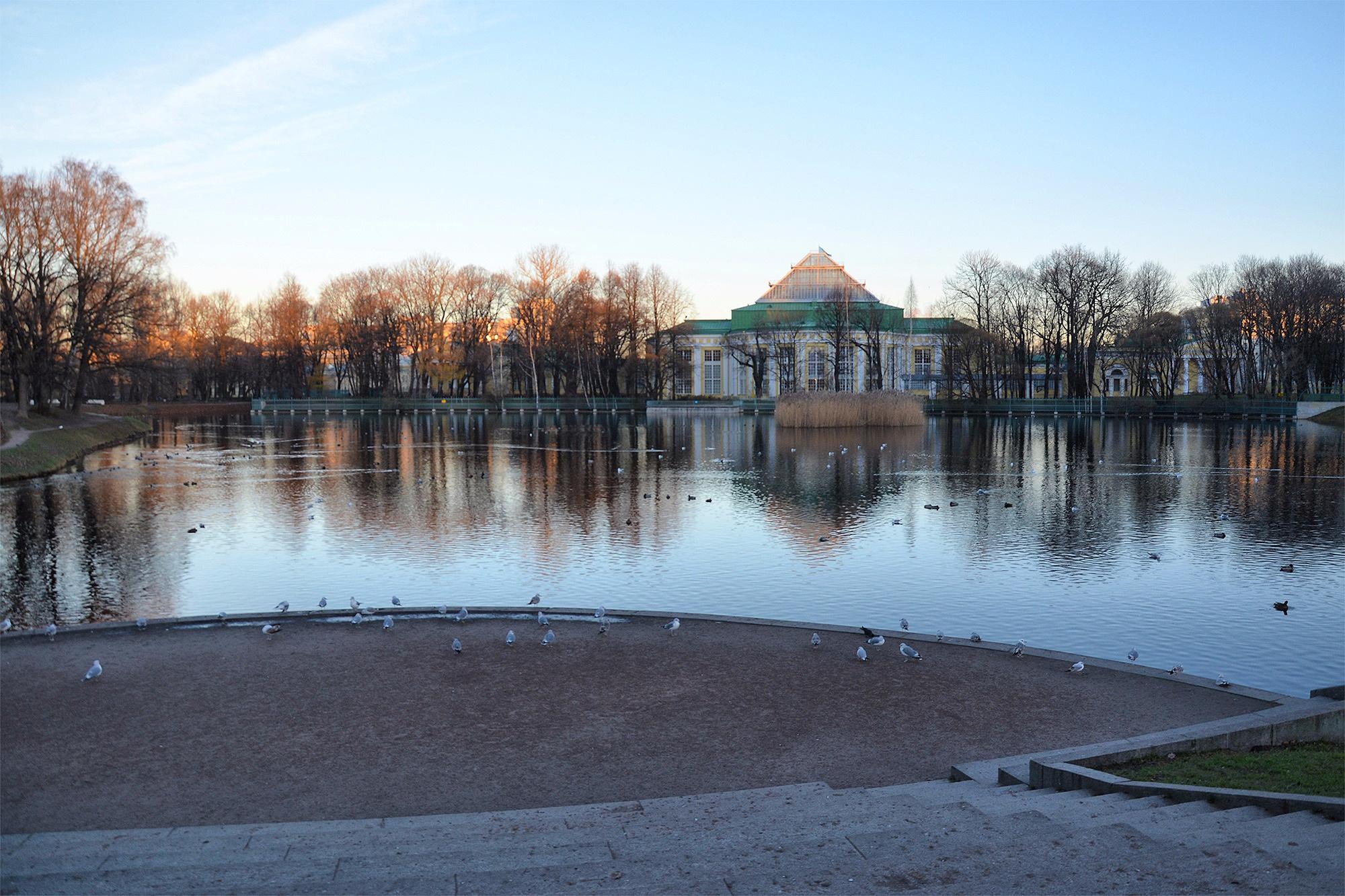 таврический сад санкт петербург зимой